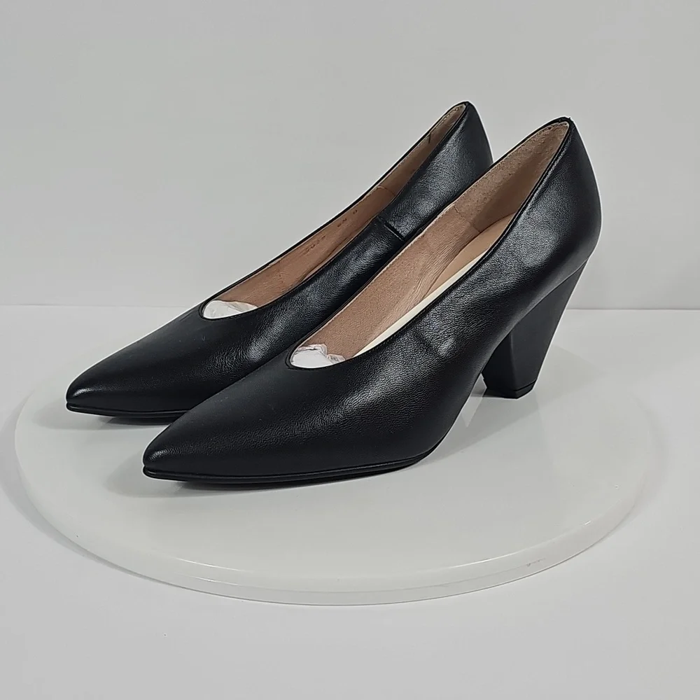 French Sole classic pointed